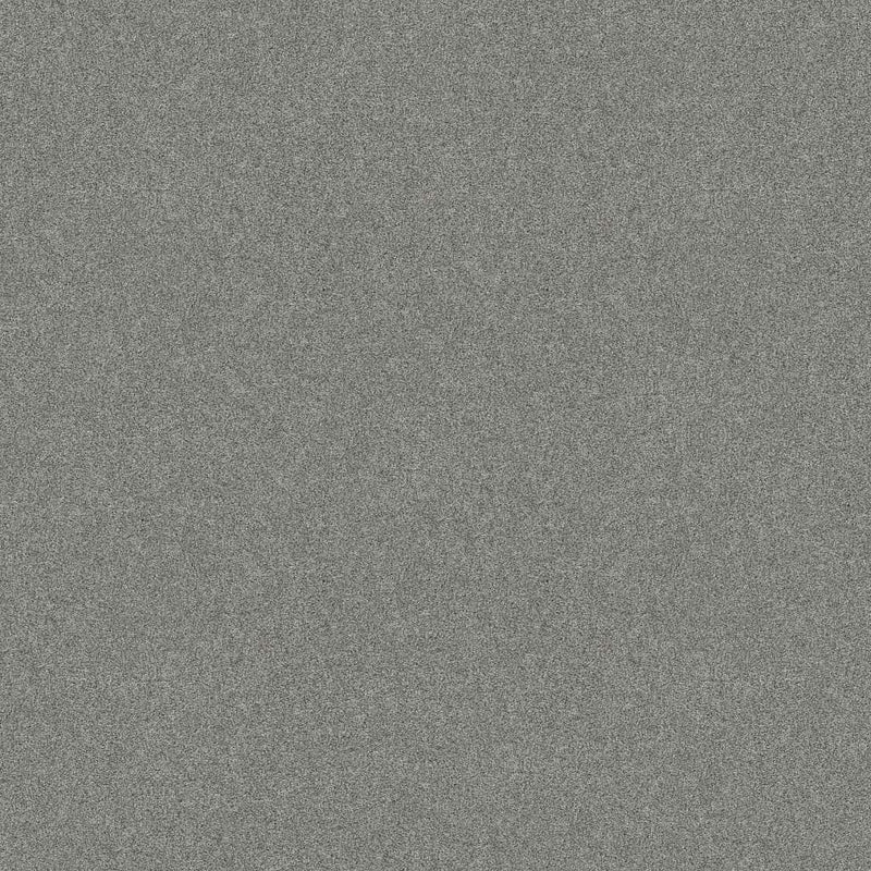 HARMONIOUS I 100% Nylon Carpet 12 ft. x Custom Length R2X® Built-in Stain & Soil Protection