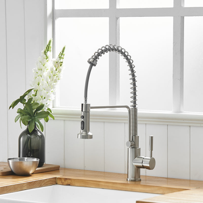 Brushed Nickel Single-Handle Kitchen Faucet 1167-33N