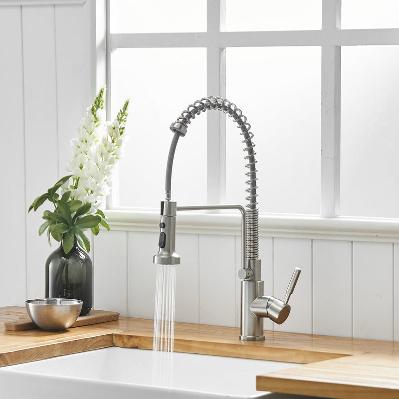 Brushed Nickel Single-Handle Kitchen Faucet 1167-33N