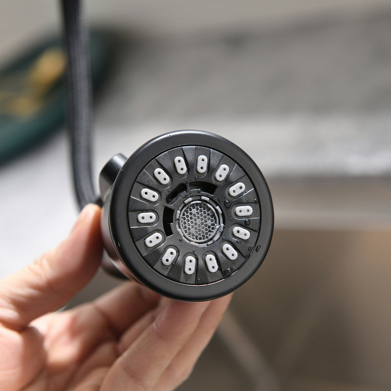 Black Single-Handle Kitchen Faucet 1176-33B