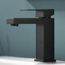 Black 1 Hole Single-Handle Bathroom Faucet 1181-11B