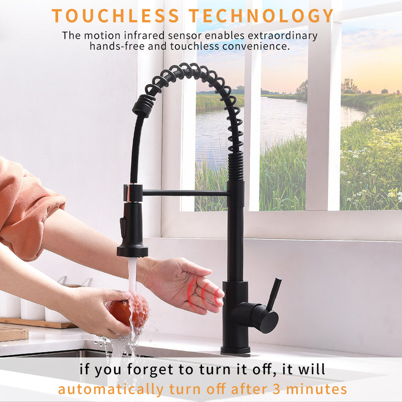 Black Single-Handle Kitchen Faucet IS1252-33B-1D-1