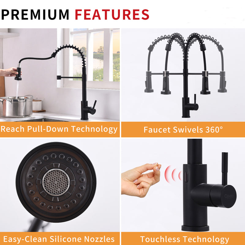Black Single-Handle Kitchen Faucet IS1252-33B-1D-1