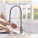 Brushed Nickel Single-Handle Kitchen Faucet IS1252-33N-1D-1