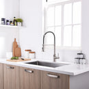 Brushed Nickel Single-Handle Kitchen Faucet IS1252-33N-1D-1