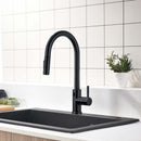 Brushed Nickel Single-Handle Kitchen Faucet IS1256-33B