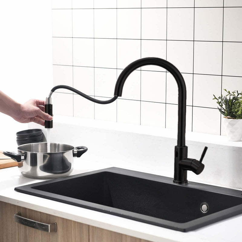 Brushed Nickel Single-Handle Kitchen Faucet IS1256-33B