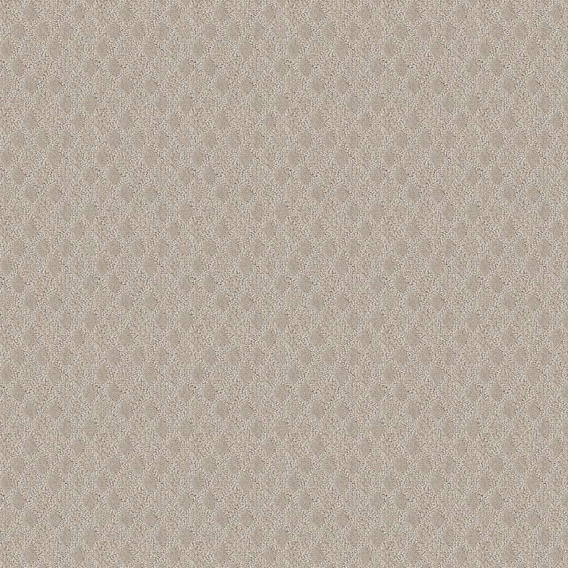 TRANSCENDING 100% SD PET Polyester Carpet 12 ft. x Custom Length