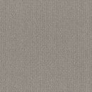 TRANSLATE 100% SD PET Polyester Carpet 12 ft. x Custom Length