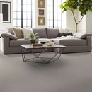 VALID 100% SD PET Polyester Carpet 12 ft. x Custom Length