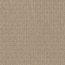 VASTLY 100% SD PET Polyester Carpet 12 ft. x Custom Length