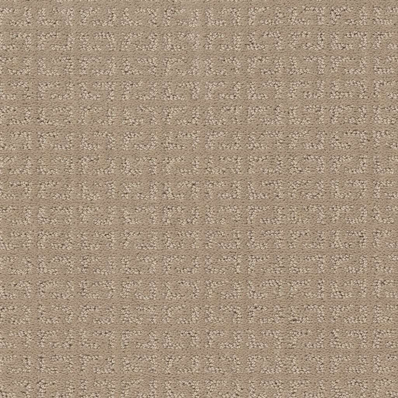 VASTLY 100% SD PET Polyester Carpet 12 ft. x Custom Length