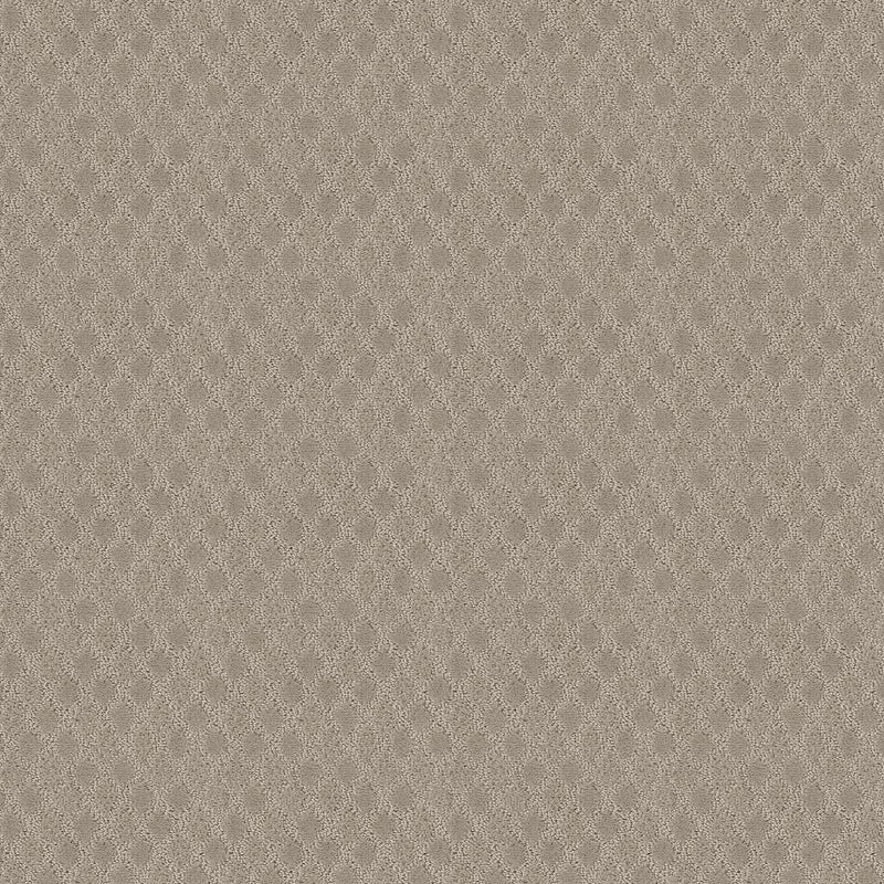 VERSATILE 100% SD PET Polyester Carpet 12 ft. x Custom Length