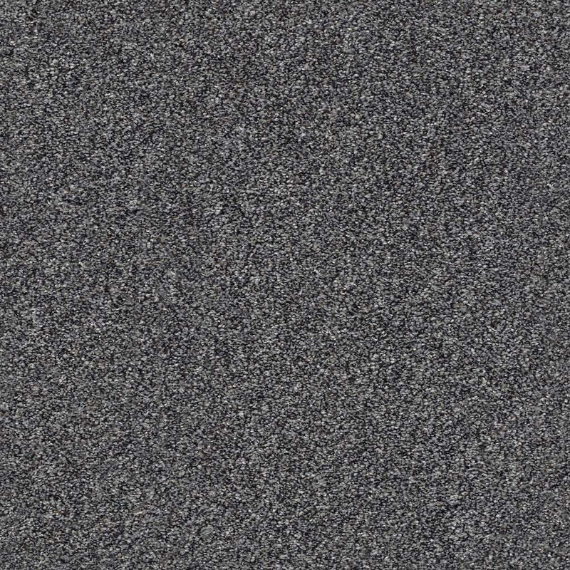 WITHIN REACH III 100% PET Polyester Carpet 12 ft. x Custom Length