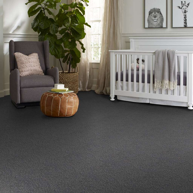 WITHIN REACH III 100% PET Polyester Carpet 12 ft. x Custom Length